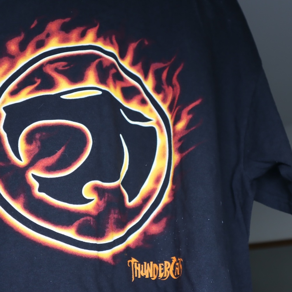 Vintage 90's Thundercats Tee!